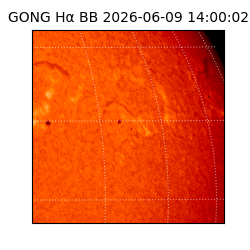 gong - 2026-06-09T14:00:02