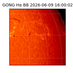 gong - 2026-06-09T16:00:02