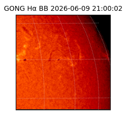 gong - 2026-06-09T21:00:02