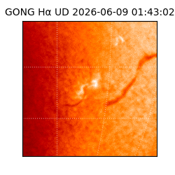 gong - 2026-06-09T01:43:02