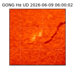 gong - 2026-06-09T06:00:02