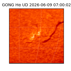 gong - 2026-06-09T07:00:02