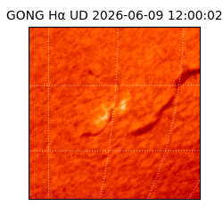 gong - 2026-06-09T12:00:02