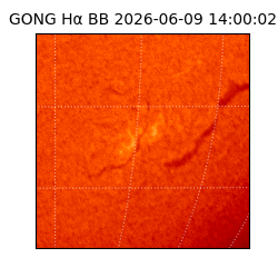 gong - 2026-06-09T14:00:02