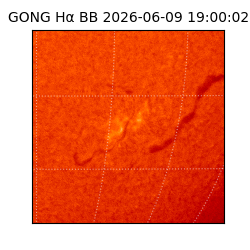 gong - 2026-06-09T19:00:02