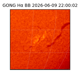gong - 2026-06-09T22:00:02