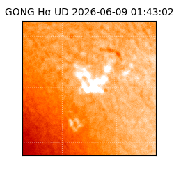 gong - 2026-06-09T01:43:02