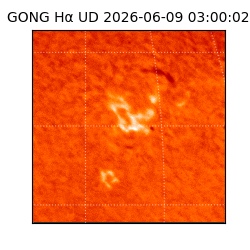 gong - 2026-06-09T03:00:02
