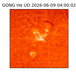 gong - 2026-06-09T04:00:02