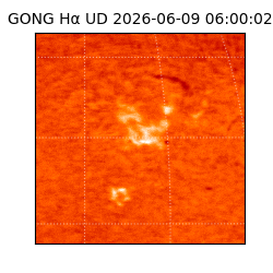 gong - 2026-06-09T06:00:02