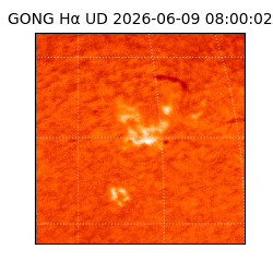 gong - 2026-06-09T08:00:02