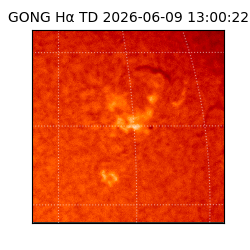gong - 2026-06-09T13:00:22