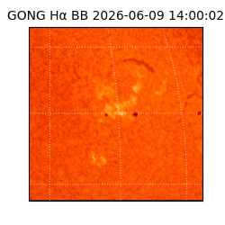 gong - 2026-06-09T14:00:02