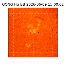 gong - 2026-06-09T15:00:02