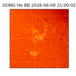 gong - 2026-06-09T21:00:02