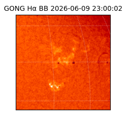 gong - 2026-06-09T23:00:02