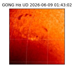 gong - 2026-06-09T01:43:02