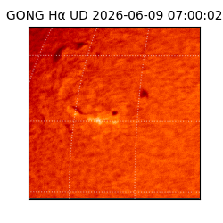 gong - 2026-06-09T07:00:02