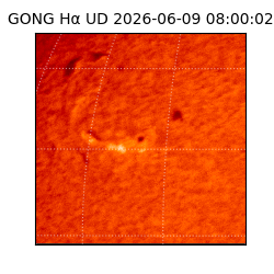 gong - 2026-06-09T08:00:02