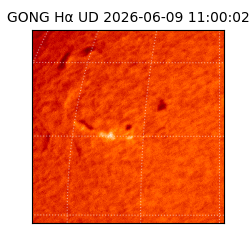 gong - 2026-06-09T11:00:02