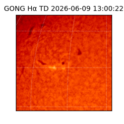 gong - 2026-06-09T13:00:22