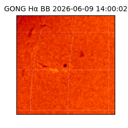gong - 2026-06-09T14:00:02
