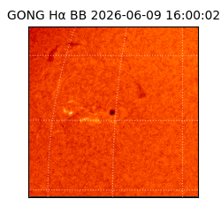 gong - 2026-06-09T16:00:02