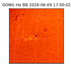 gong - 2026-06-09T17:00:02