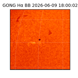 gong - 2026-06-09T18:00:02