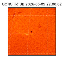 gong - 2026-06-09T22:00:02