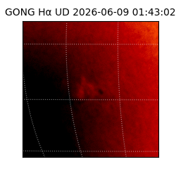 gong - 2026-06-09T01:43:02