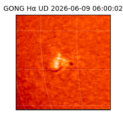 gong - 2026-06-09T06:00:02