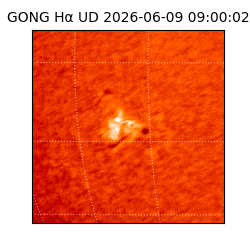 gong - 2026-06-09T09:00:02
