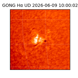 gong - 2026-06-09T10:00:02