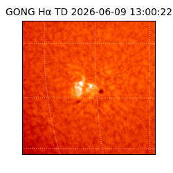 gong - 2026-06-09T13:00:22