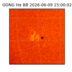 gong - 2026-06-09T15:00:02