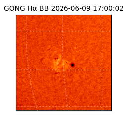 gong - 2026-06-09T17:00:02