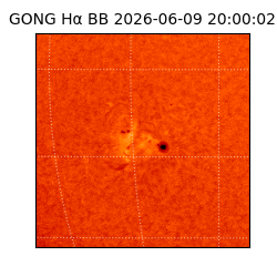 gong - 2026-06-09T20:00:02