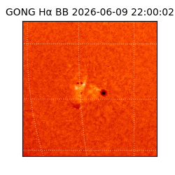 gong - 2026-06-09T22:00:02