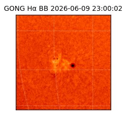 gong - 2026-06-09T23:00:02