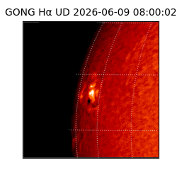 gong - 2026-06-09T08:00:02