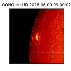 gong - 2026-06-09T09:00:02