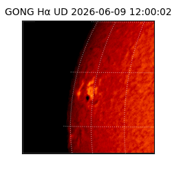 gong - 2026-06-09T12:00:02