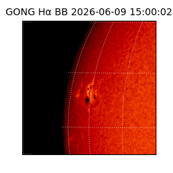 gong - 2026-06-09T15:00:02