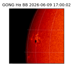 gong - 2026-06-09T17:00:02
