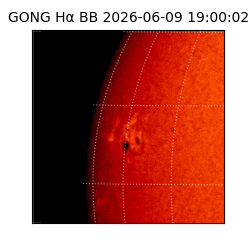 gong - 2026-06-09T19:00:02