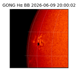 gong - 2026-06-09T20:00:02