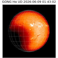 gong - 2026-06-09T01:43:02