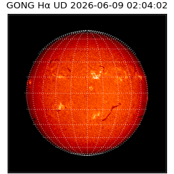 gong - 2026-06-09T02:04:02