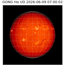 gong - 2026-06-09T07:00:02